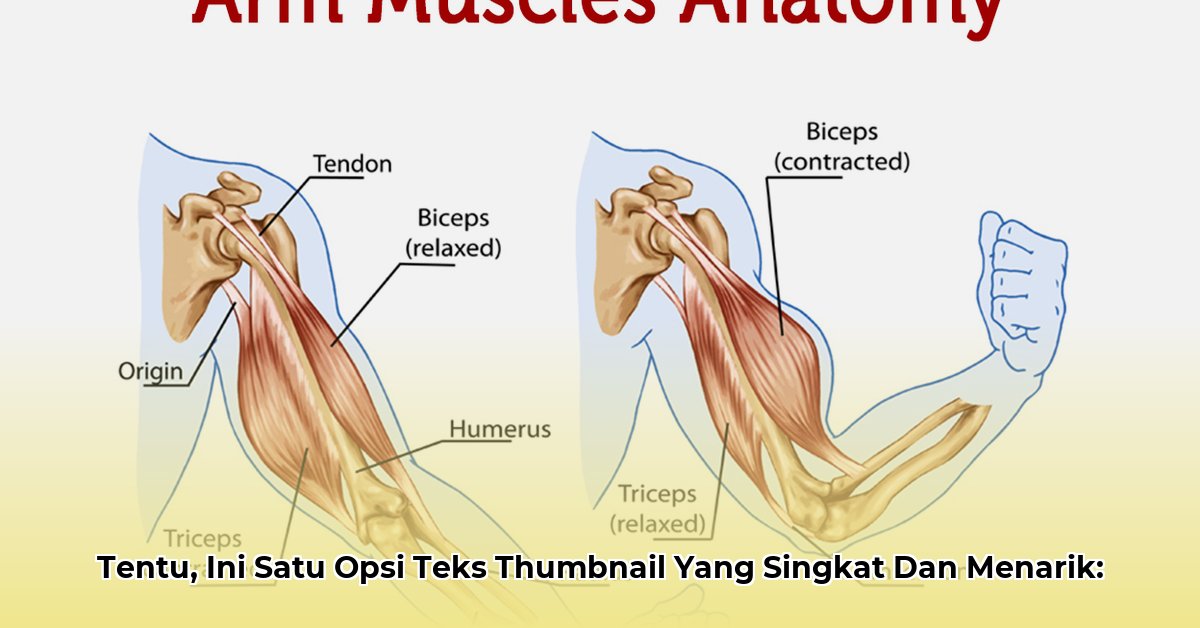 the-muscle-net-worth